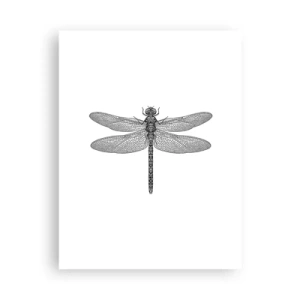 Affiche - Poster - Précision de la nature - 30x40 cm