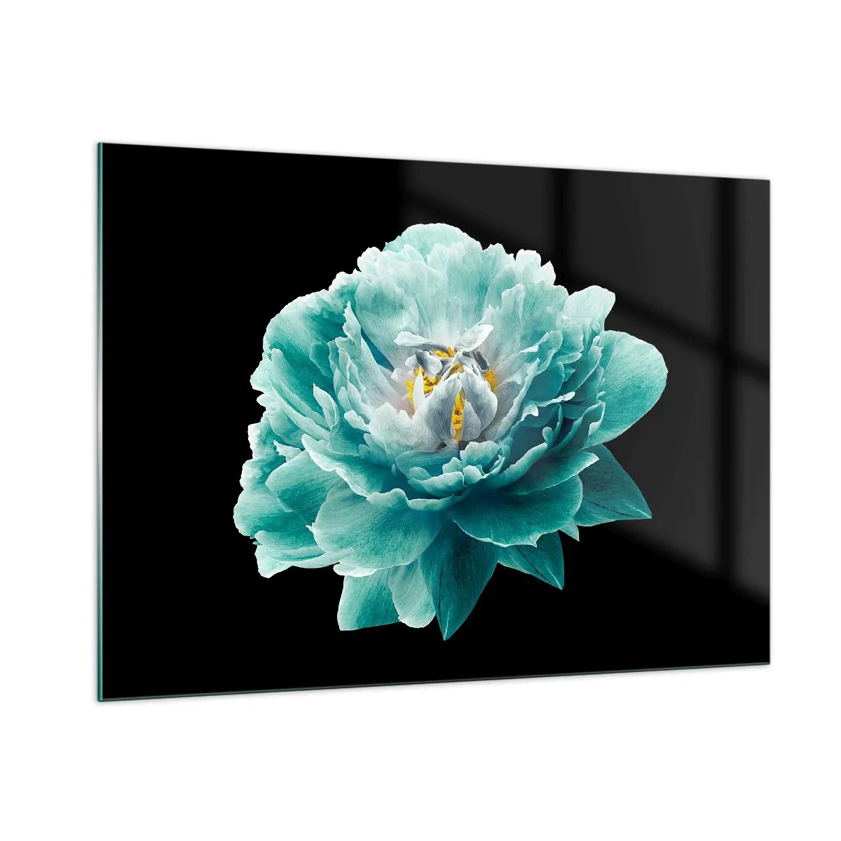 Impression sur verre - Image sur verre - Une fleur turquoise avec un centre jaune sur fond noir dans un style glamour. - 100x70cm - Pétales bleus et dorés - Décoration murale moderne pour le salon et la chambre ARTTOR