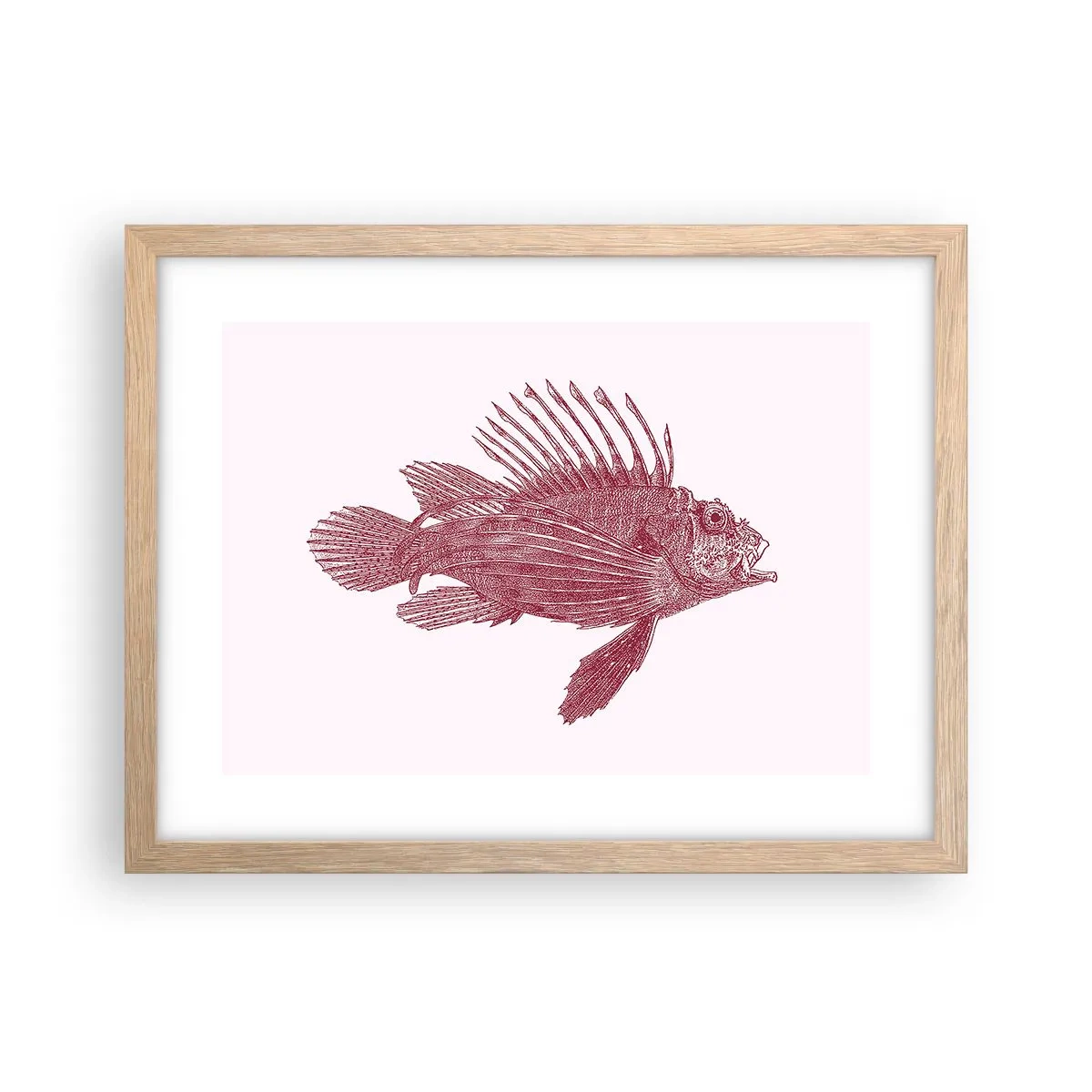 Affiche dans un chêne clair - Poster - Un habitant des eaux exotiques - 40x30 cm