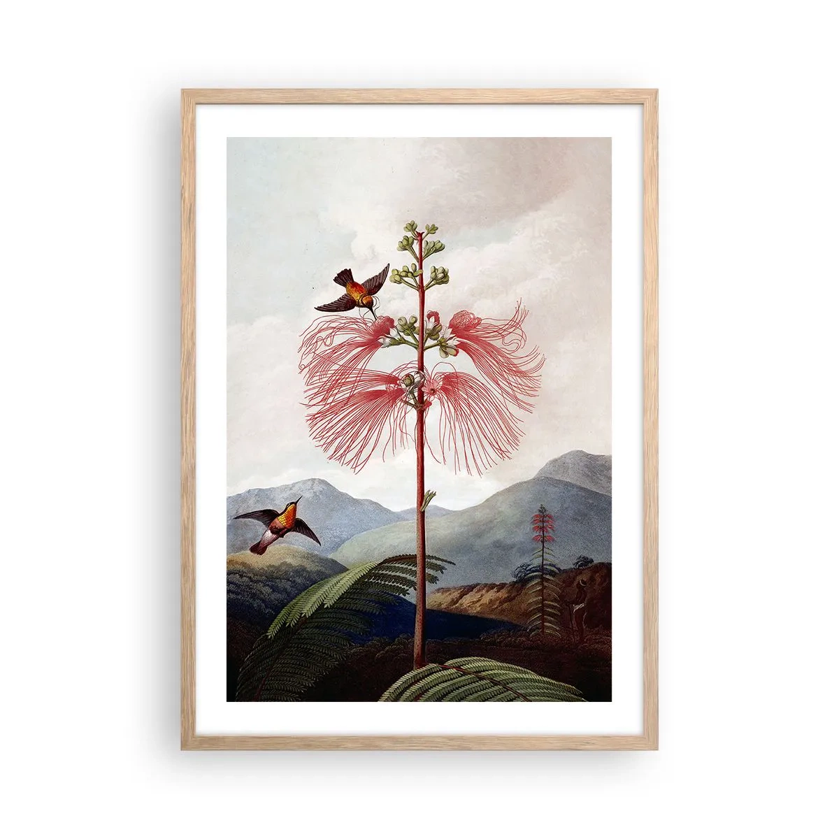 Affiche dans un chêne clair - Poster - Dans un paradis tropical - 50x70 cm