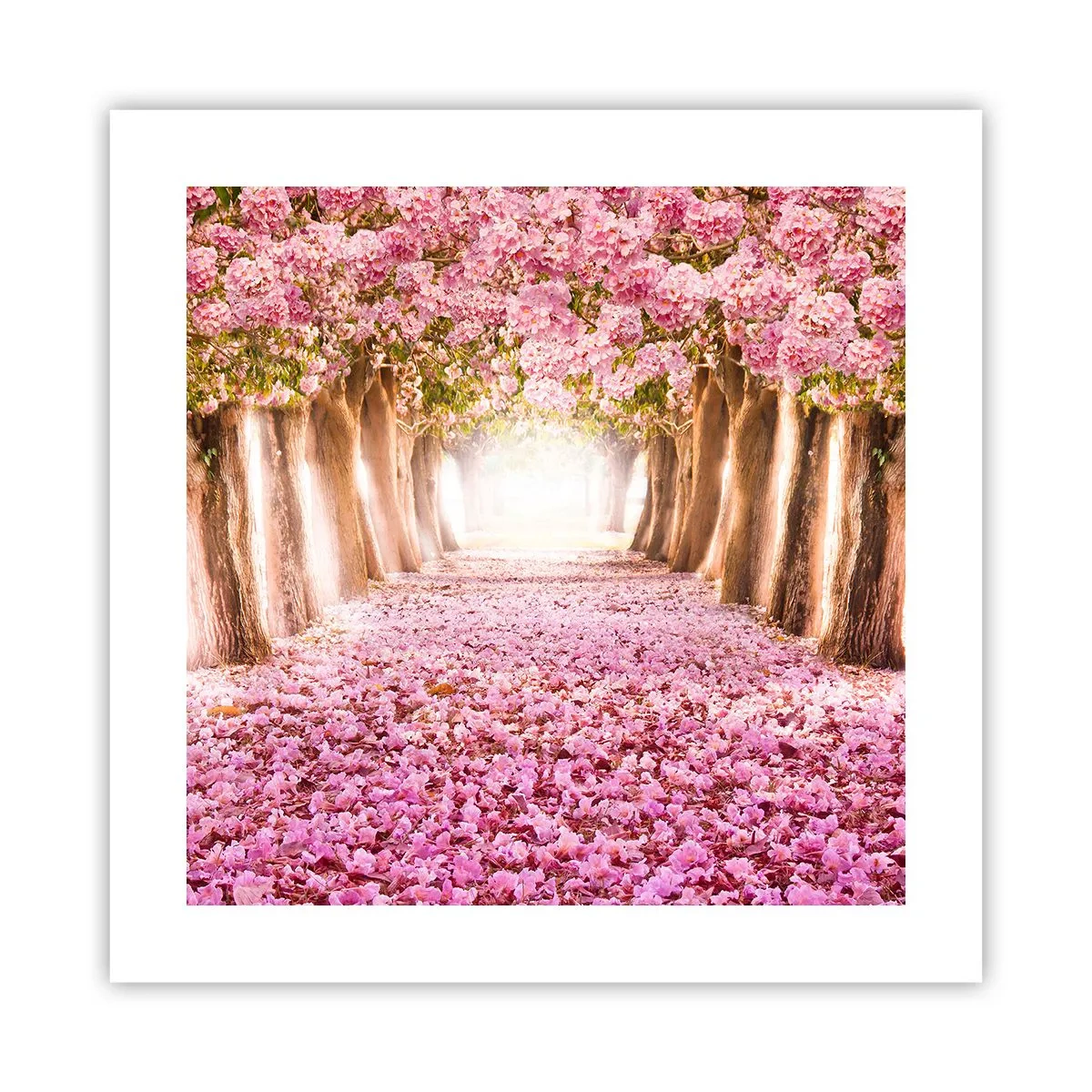 Affiche - Poster - La route du paradis - 40x40 cm