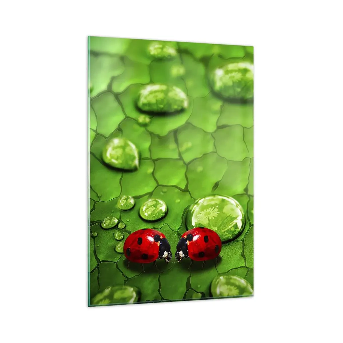 Impression sur verre - Image sur verre - Deux coccinelles sur une feuille avec des gouttes d'eau en macrophotographie - 80x120cm - Rendez-vous au vert - Décoration murale moderne pour le salon et la chambre ARTTOR