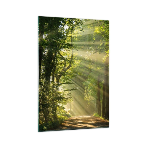 Impression sur verre - Image sur verre - Chemin forestier avec les rayons du soleil qui brillent à travers les arbres - 70x100cm - Moment de forêt - Décoration murale moderne pour le salon et la chambre ARTTOR