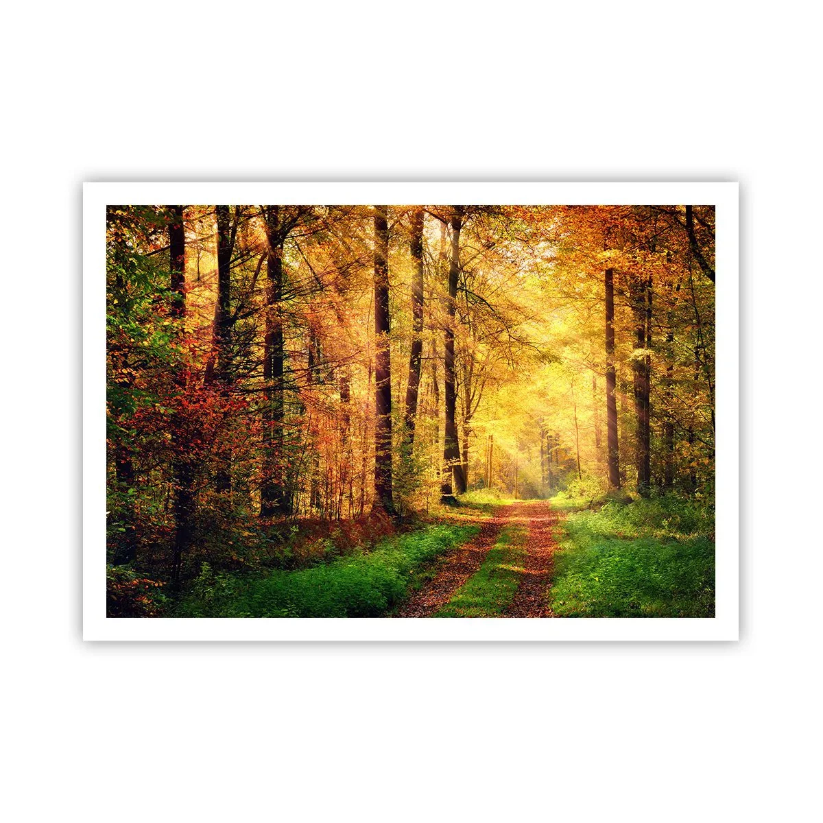 Affiche - Poster - Un chemin forestier entouré d'arbres dorés et verts - 100x70cm - Silence d'or en forêt - Décoration murale moderne pour le salon et la chambre ARTTOR