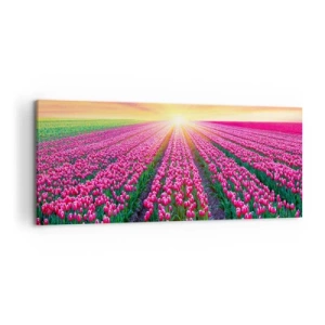 Impression sur toile - Image sur toile - Un champ de tulipes au coucher du soleil - 120x50cm - Ferme de la beauté - Décoration murale moderne pour le salon et la chambre ARTTOR