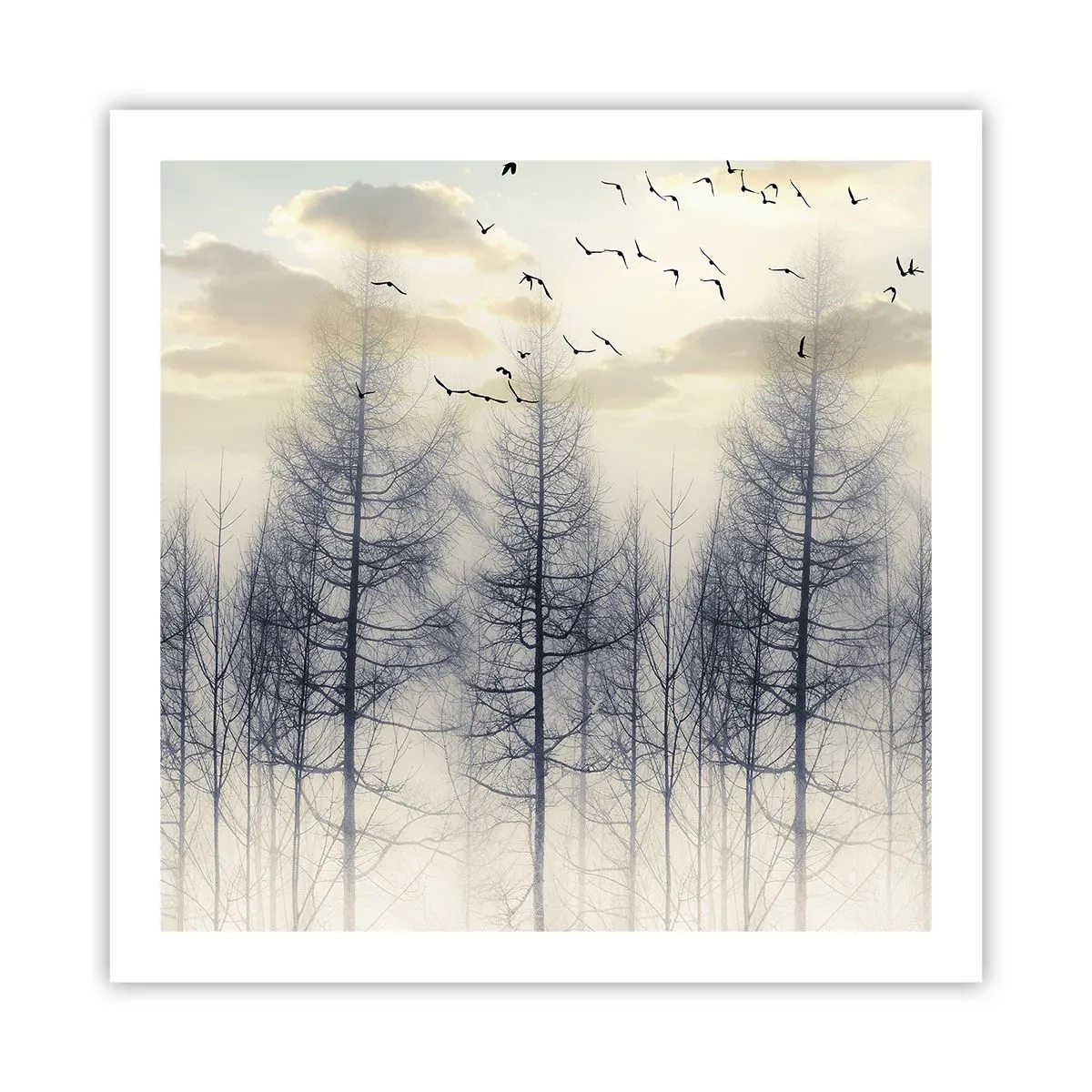 Affiche - Poster - L'âme de la forêt - 60x60 cm