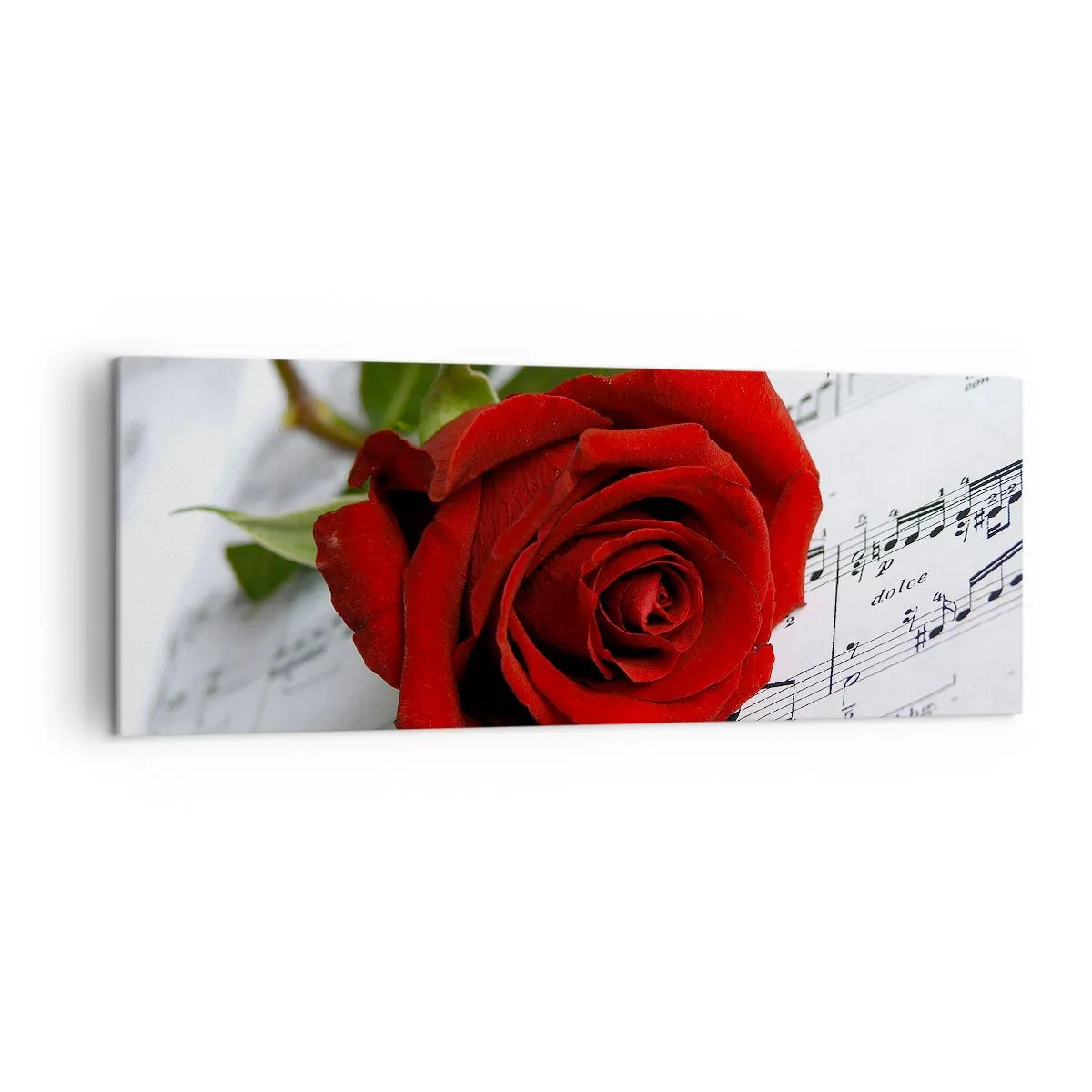 Impression sur toile - Image sur toile - Une rose rouge sur fond de notes de musique sur papier blanc. - 140x50cm - Musique des sentiments en écarlate - Décoration murale moderne pour le salon et la chambre ARTTOR