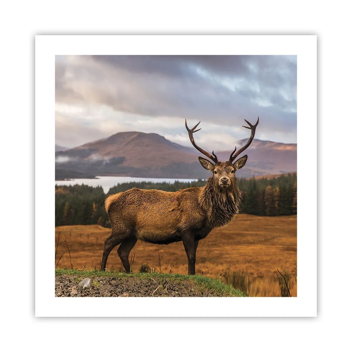 Affiche - Poster - Majesté de la nature - 50x50 cm