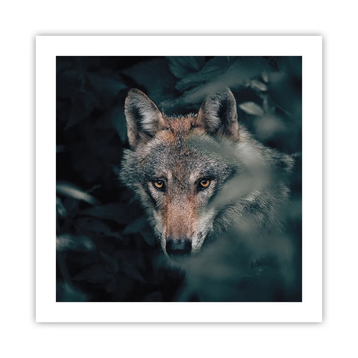 Affiche - Poster - Chasseur - 50x50 cm