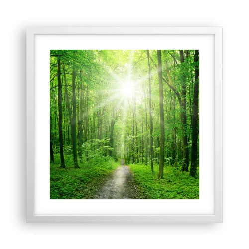 Affiche dans un cadre blanc - Poster - Cathédrale verte - 40x40 cm