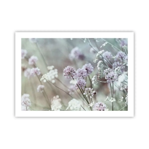 Affiche - Poster - Herbes douces en filigrane - 70x50 cm