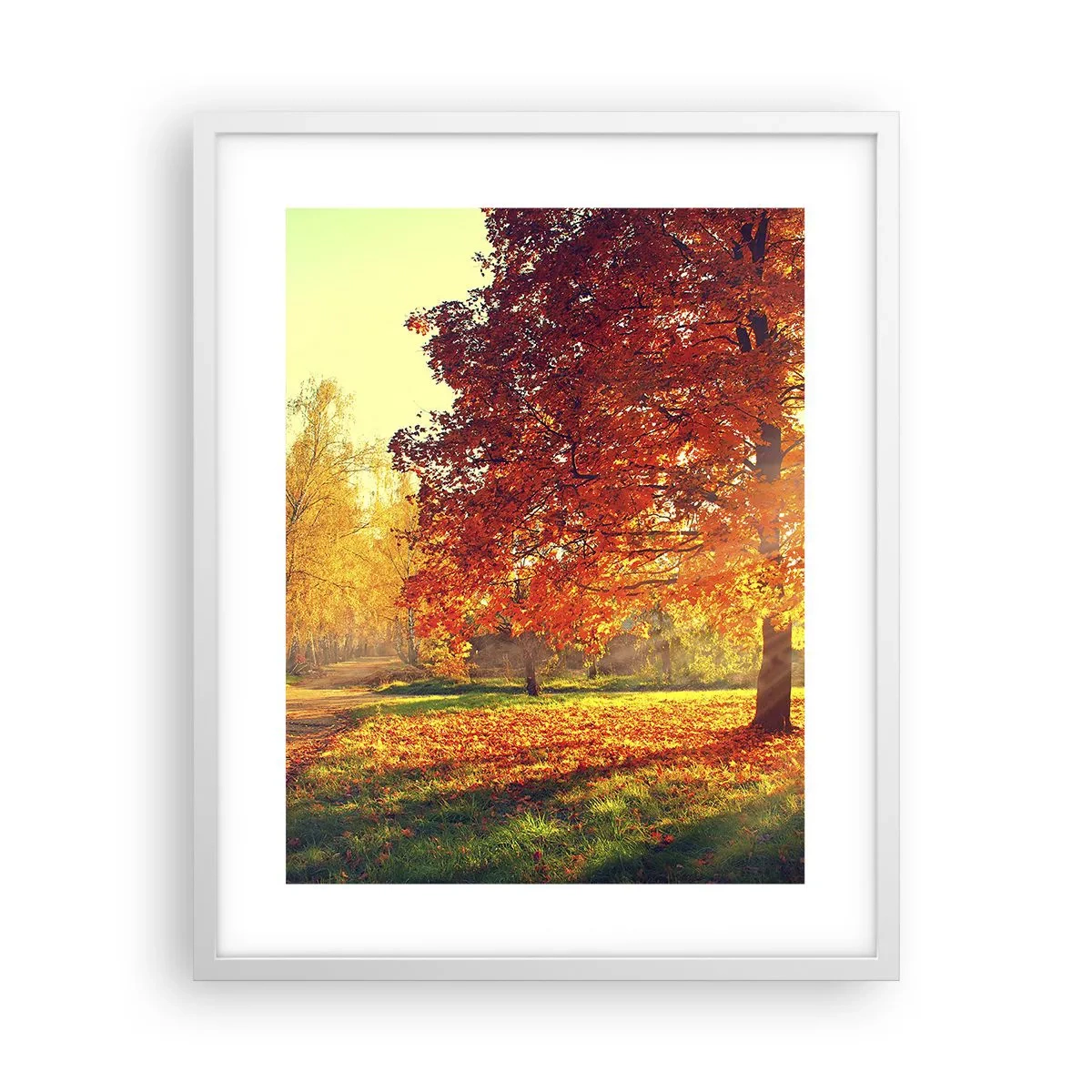 Affiche dans un cadre blanc - Poster - Le roux est beau - 40x50 cm