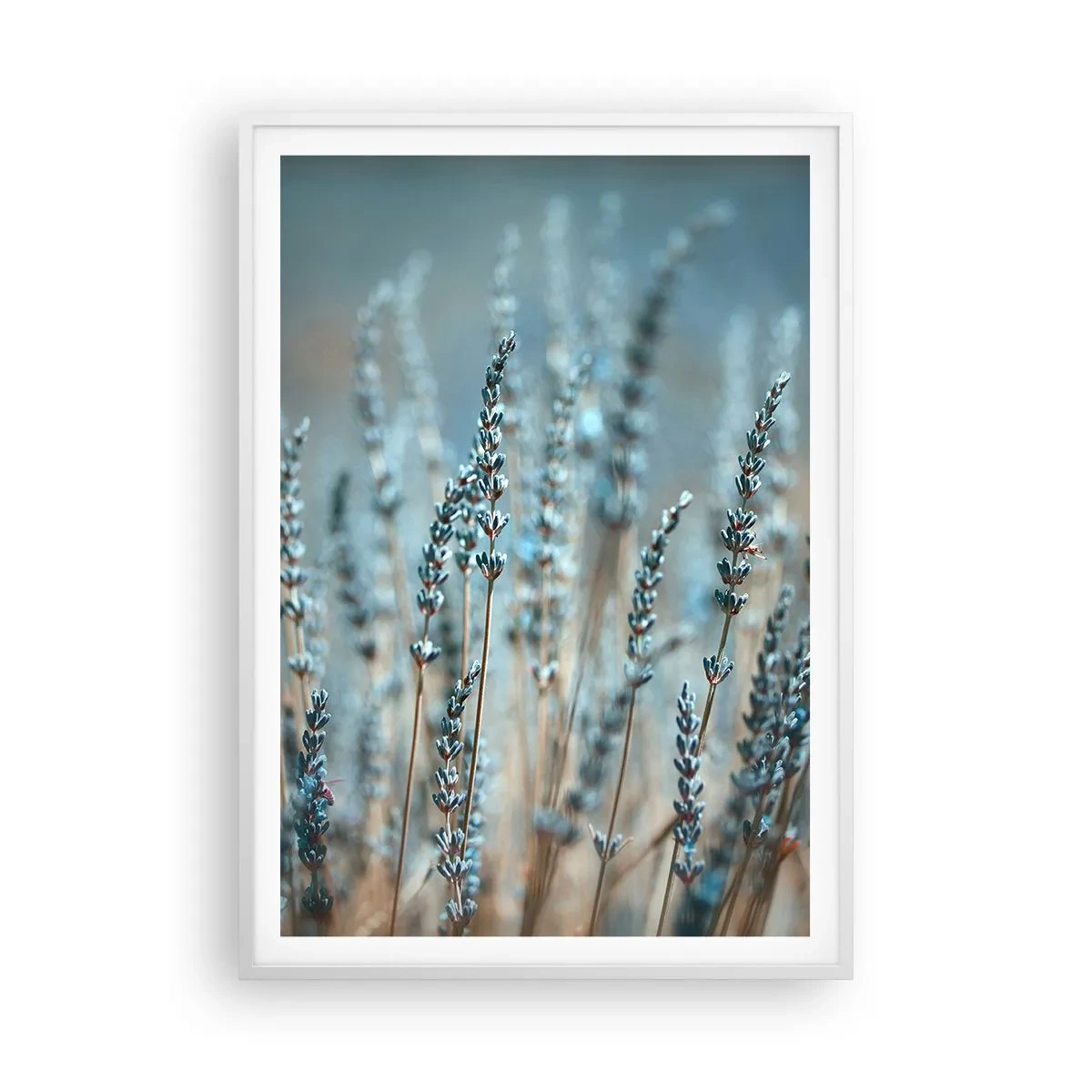 Affiche dans un cadre blanc - Poster - Tige odorante - 70x100 cm