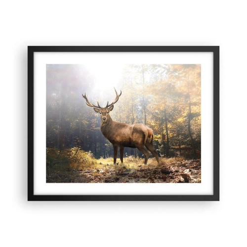 Affiche dans un cadre noir - Poster - Toute sa majesté - 50x40 cm