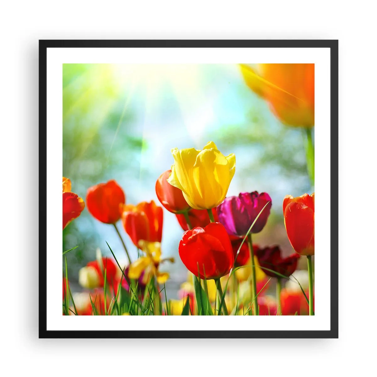 Affiche dans un cadre noir - Poster - Toutes les couleurs du soleil - 60x60 cm