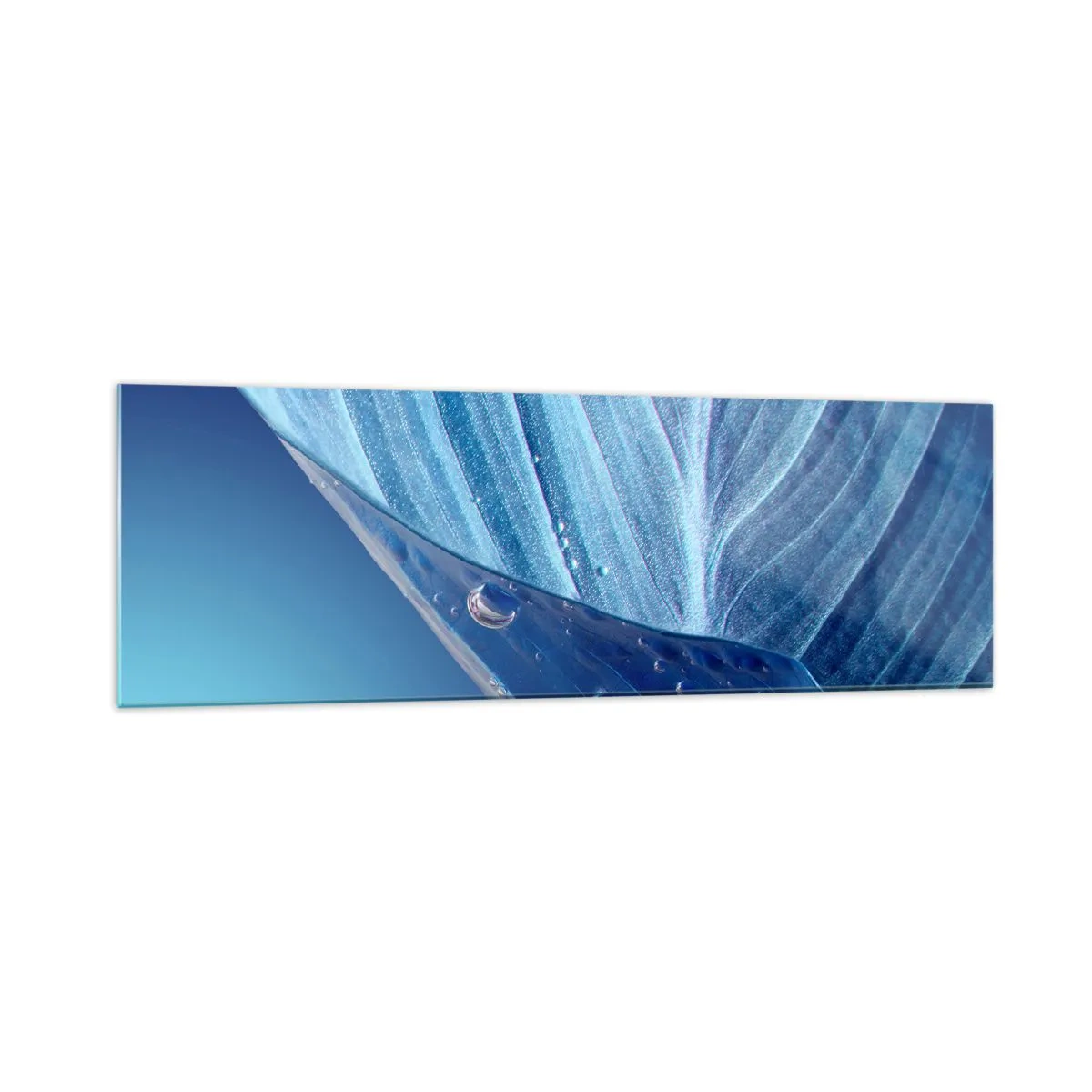 Impression sur verre - Image sur verre - Une feuille bleue avec des gouttes d'eau visibles - 160x50cm - Gouttes cachées du bleu - Décoration murale moderne pour le salon et la chambre ARTTOR