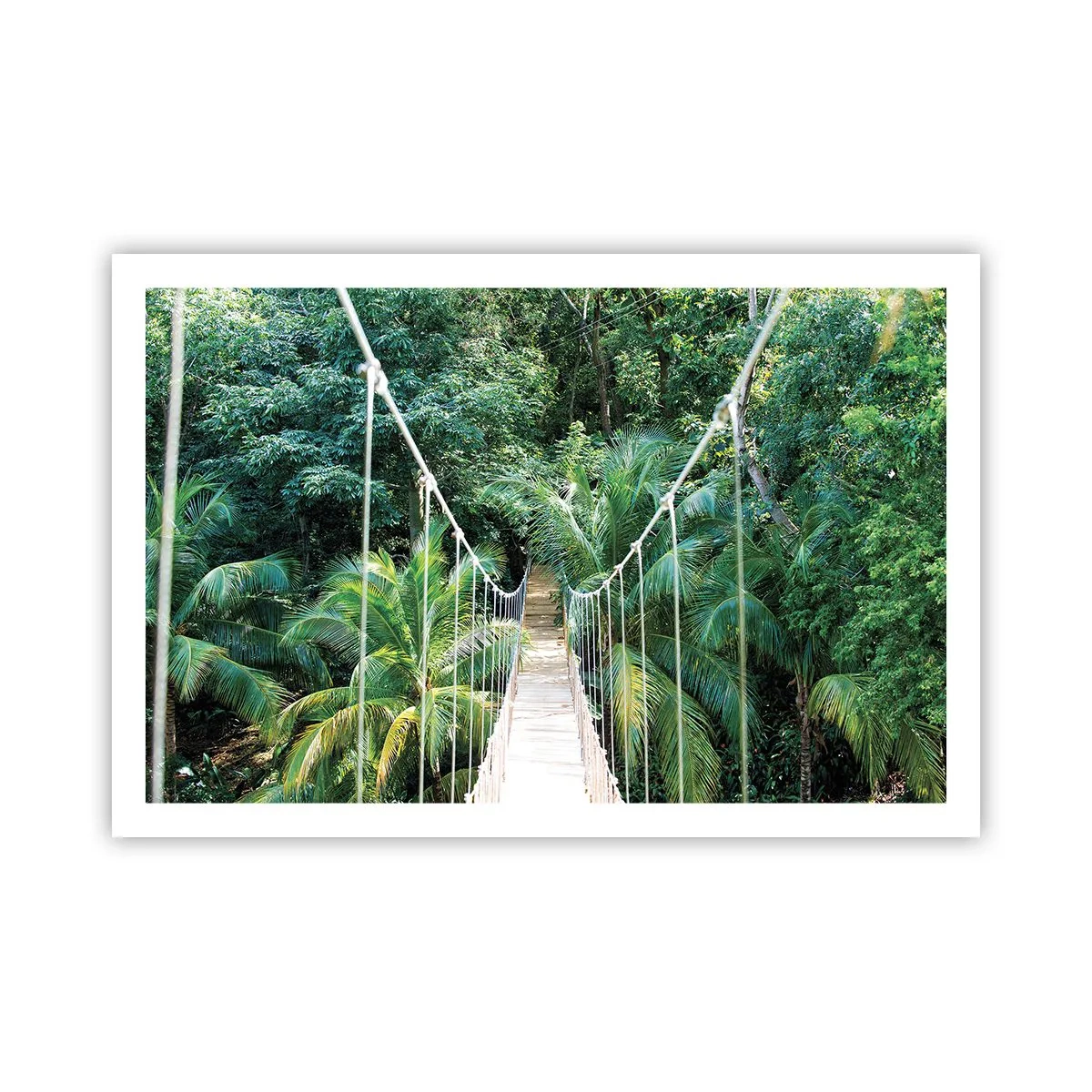 Affiche - Poster - Welcome to the jungle! - 91x61 cm