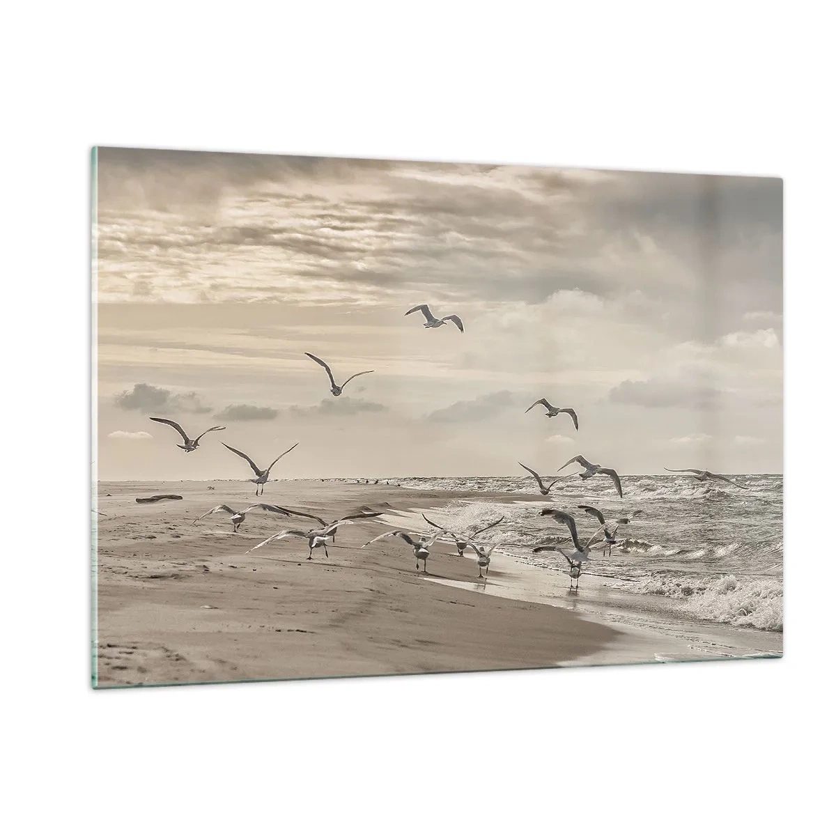Impression sur verre - Image sur verre - Oiseaux sur le bord de mer à l'aube dans des tons sépia - 120x80cm - Le bruit de la mer, le chant des oiseaux - Décoration murale moderne pour le salon et la chambre ARTTOR