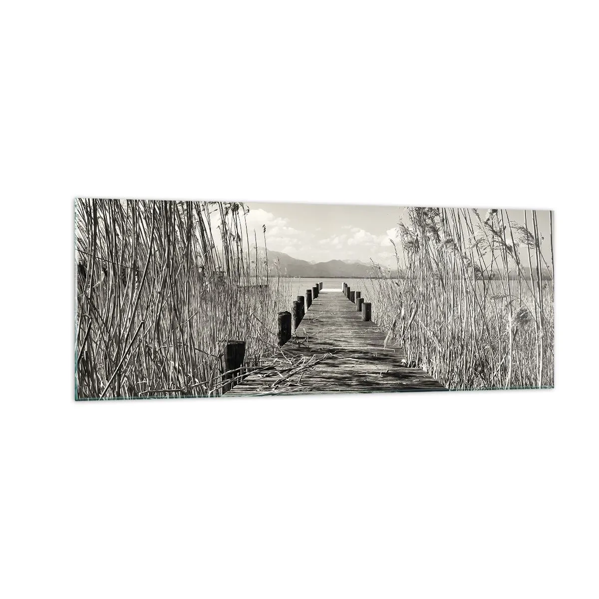 Impression sur verre - Image sur verre - Une jetée en bois parmi les hautes herbes au-dessus d'un lac aux tons sépia - 140x50cm - Dans le calme de l'herbe - Décoration murale moderne pour le salon et la chambre ARTTOR
