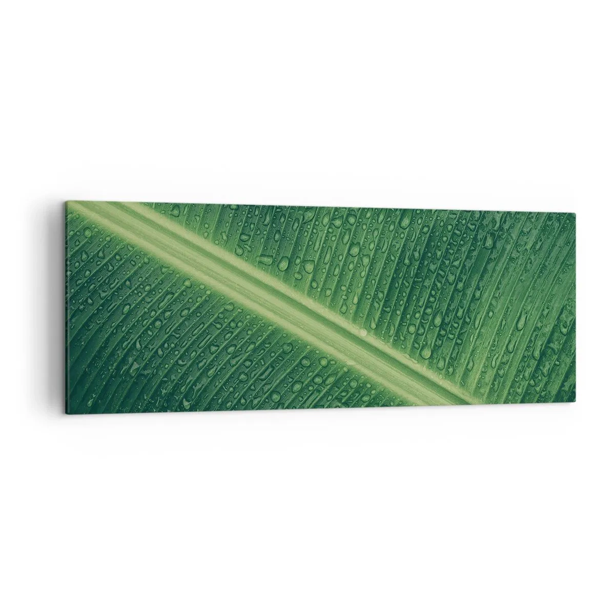 Impression sur toile - Image sur toile - Une feuille verte avec des gouttes d'eau à sa surface - 140x50cm - Structure de vert - Décoration murale moderne pour le salon et la chambre ARTTOR