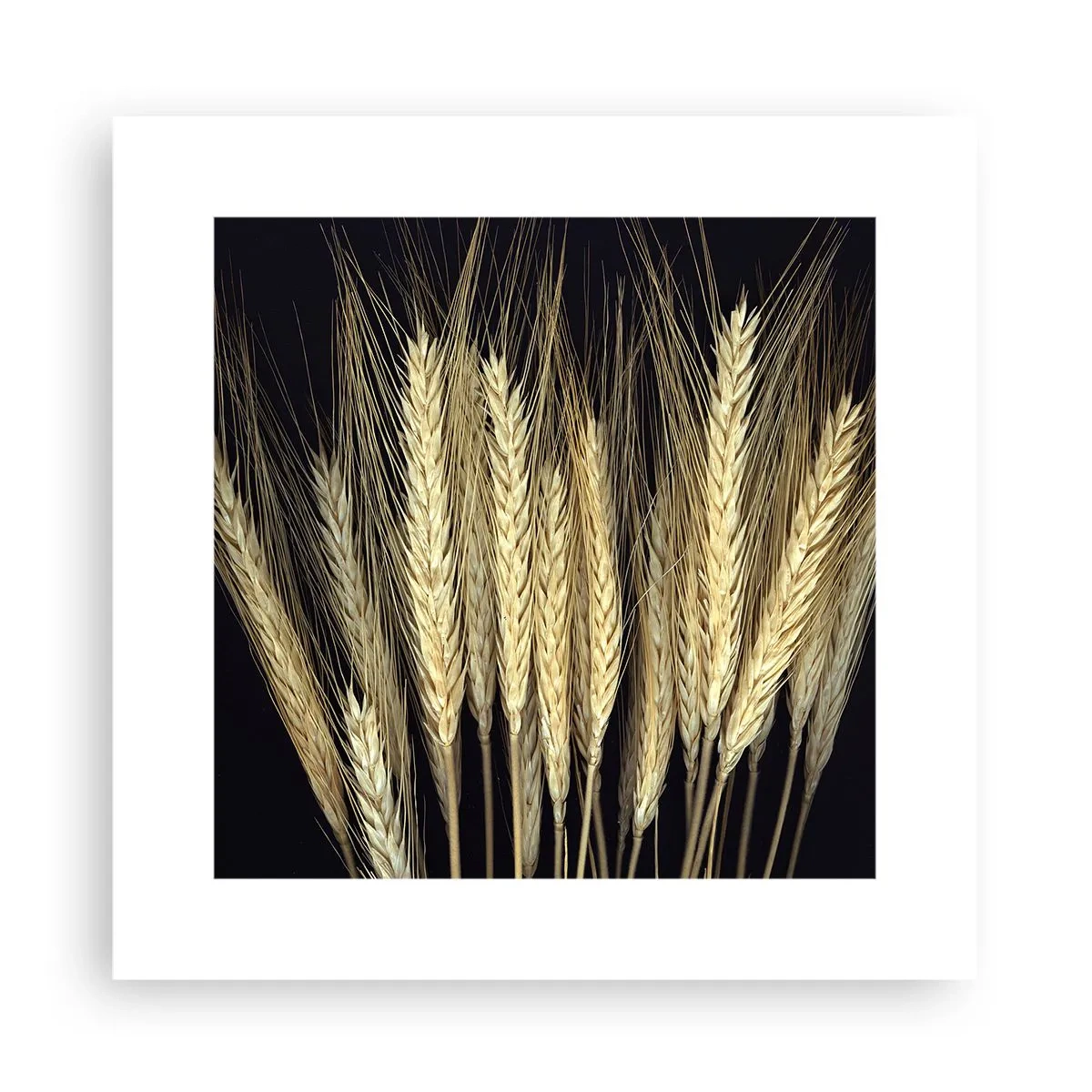 Affiche - Poster - Magie rustique - 30x30 cm