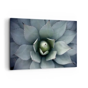 Impression sur toile - Image sur toile - Gros plan d'une rosette d'agave aux délicates nuances de vert - 100x70cm - Wabi et observe - Décoration murale moderne pour le salon et la chambre ARTTOR