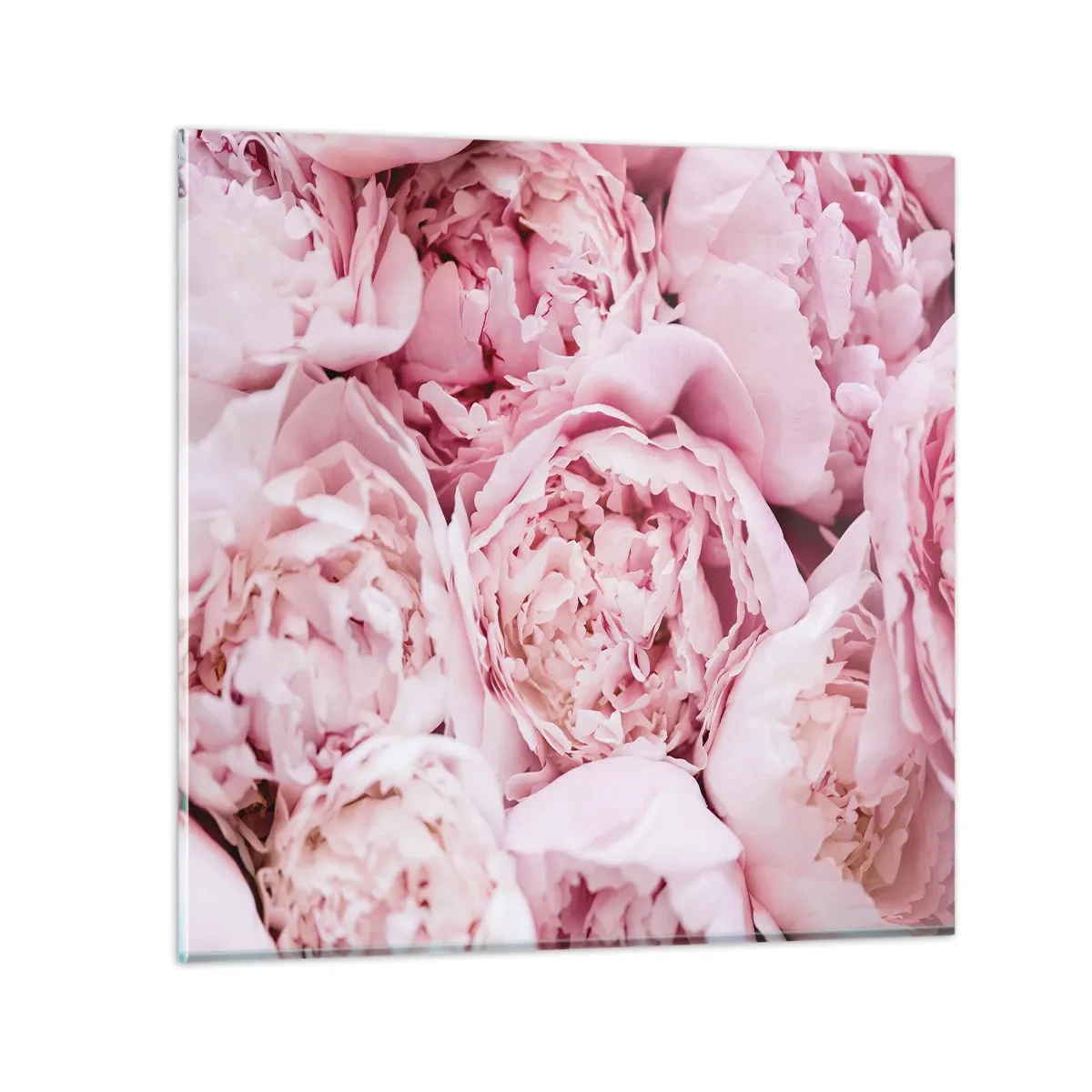 Impression sur verre - Image sur verre - Caliné et parfumé - 60x60 cm