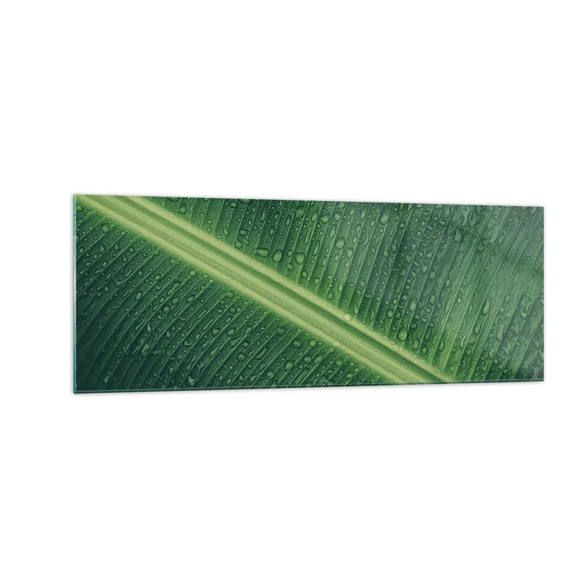 Impression sur verre - Image sur verre - Une feuille verte avec des gouttes d'eau à sa surface - 140x50cm - Structure de vert - Décoration murale moderne pour le salon et la chambre ARTTOR