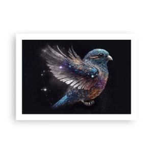 Affiche - Poster - Moineau de diamant - 70x50 cm