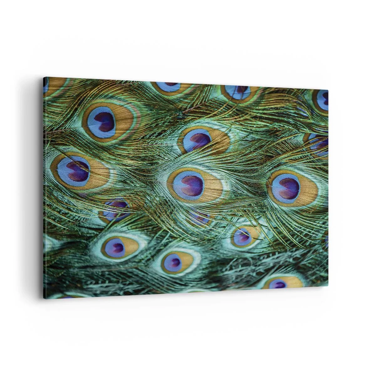 Impression sur toile - Image sur toile - Détails des plumes de paon aux couleurs riches - 120x80cm - Un regard de paon - Décoration murale moderne pour le salon et la chambre ARTTOR