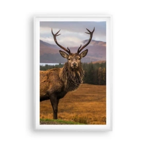 Affiche dans un cadre blanc - Poster - Majesté de la nature - 61x91 cm