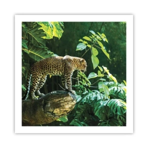 Affiche - Poster - À la chasse? - 60x60 cm