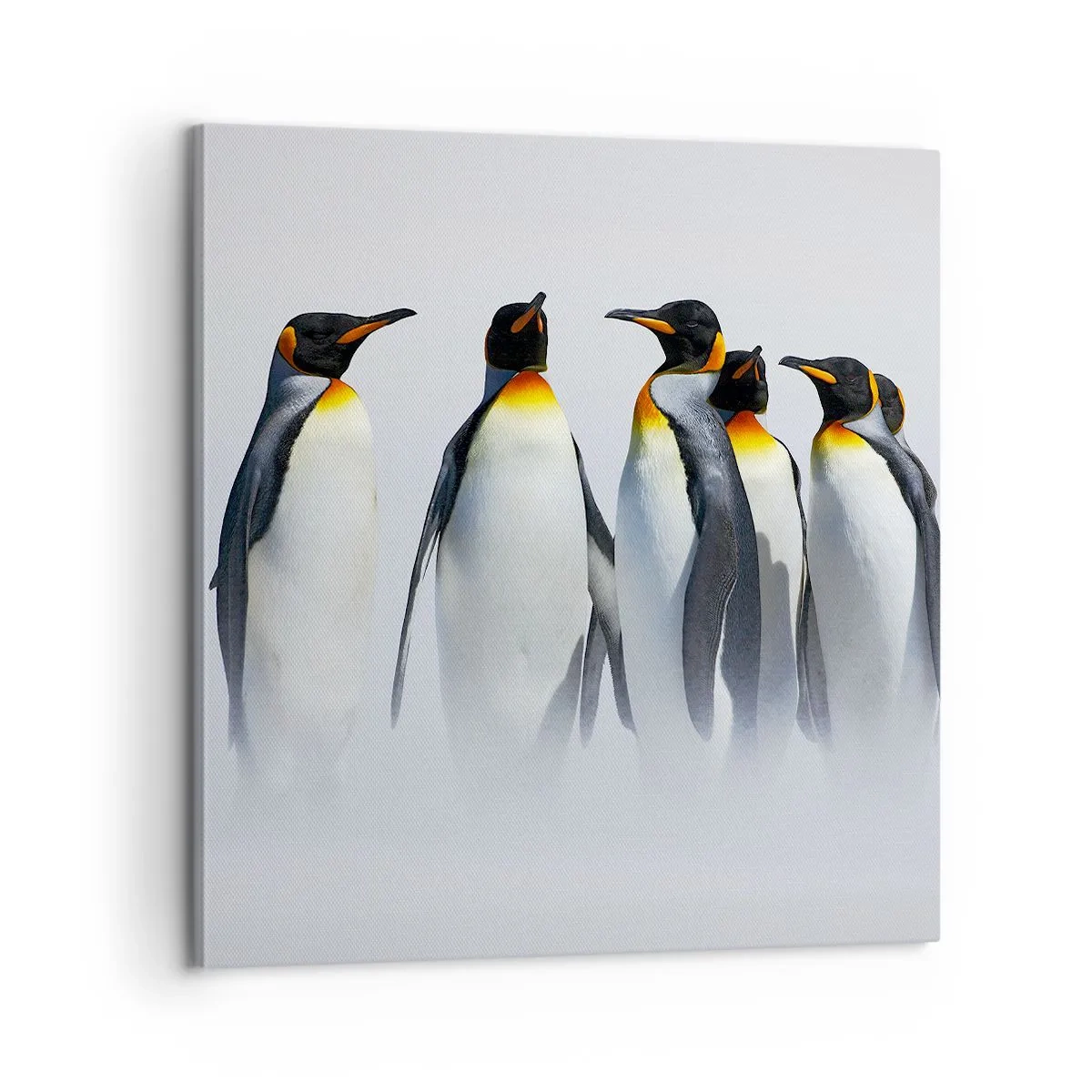 Impression sur toile - Image sur toile - Rencontre en robes de soirée - 60x60 cm