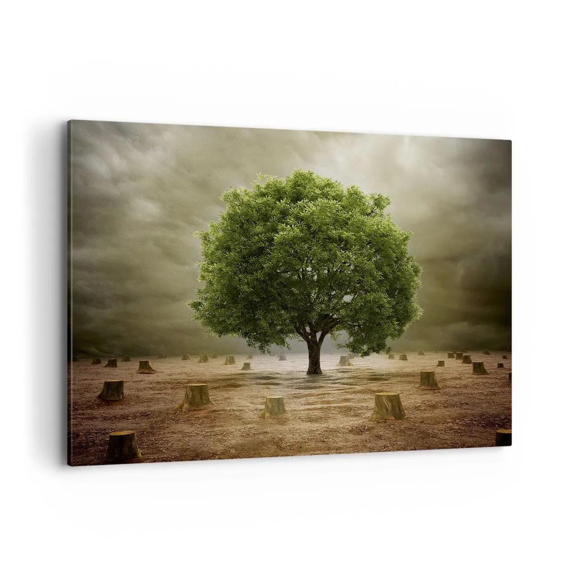 Impression sur toile - Image sur toile - Un arbre vert entouré de troncs d'arbres abattus contre un ciel nuageux - 120x80cm - Tout l'espoir - Décoration murale moderne pour le salon et la chambre ARTTOR