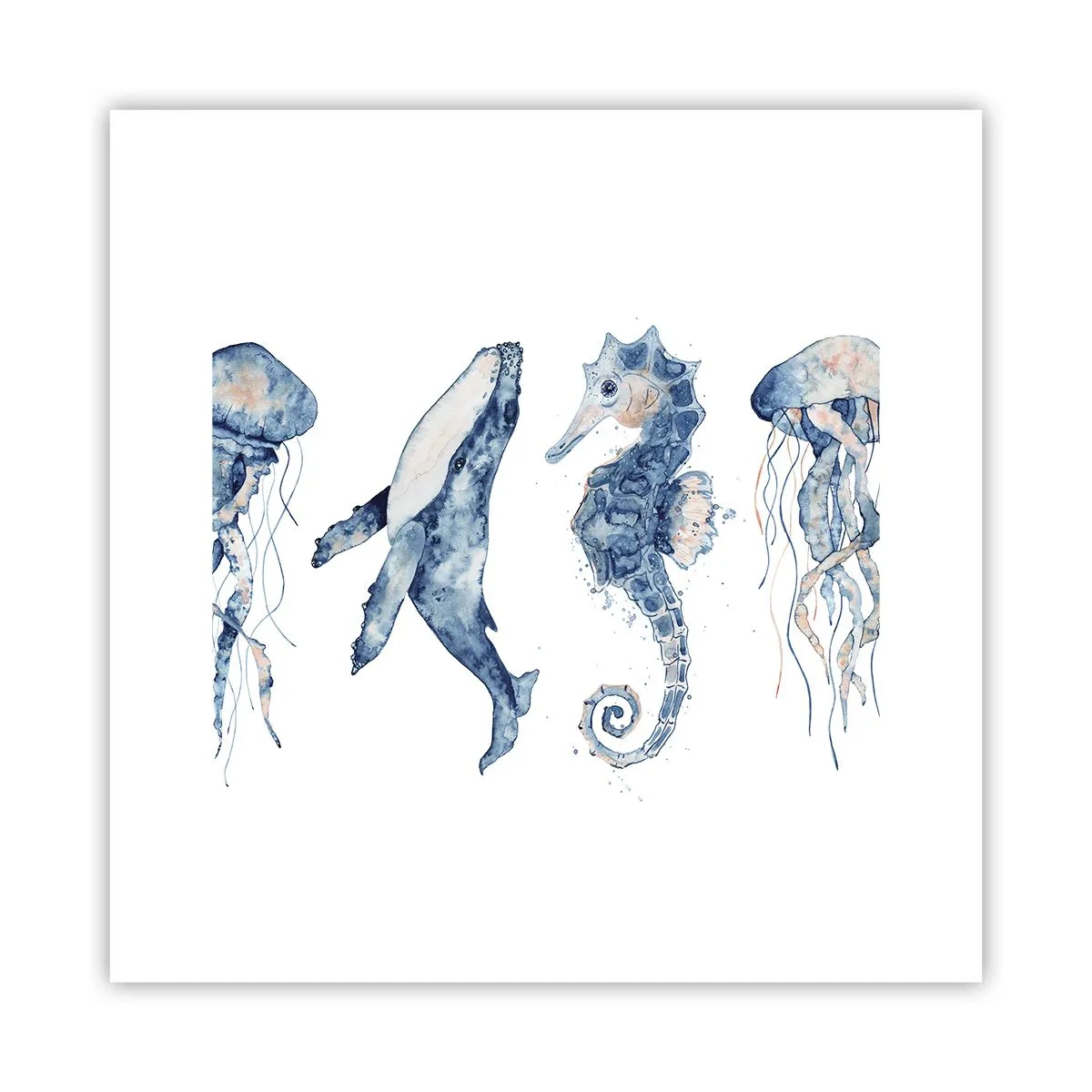 Affiche - Poster - Merveilles de la mer - 30x30 cm