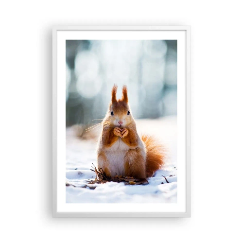 Affiche dans un cadre blanc - Poster - Qu'est ce que tu regardes comme ça? - 50x70 cm