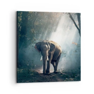 Impression sur toile - Image sur toile - Une balade tranquille - 70x70 cm