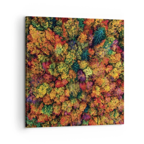 Impression sur toile - Image sur toile - Bouquet d'arbres automnal - 60x60 cm