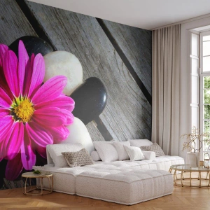 Papier Peint Photo Standard Eco - Fleur rose sur fond de bois avec des pierres blanches et noires - 100x70cm - Repos sur la jetée - Décoration murale moderne pour le salon et la chambre ARTTOR