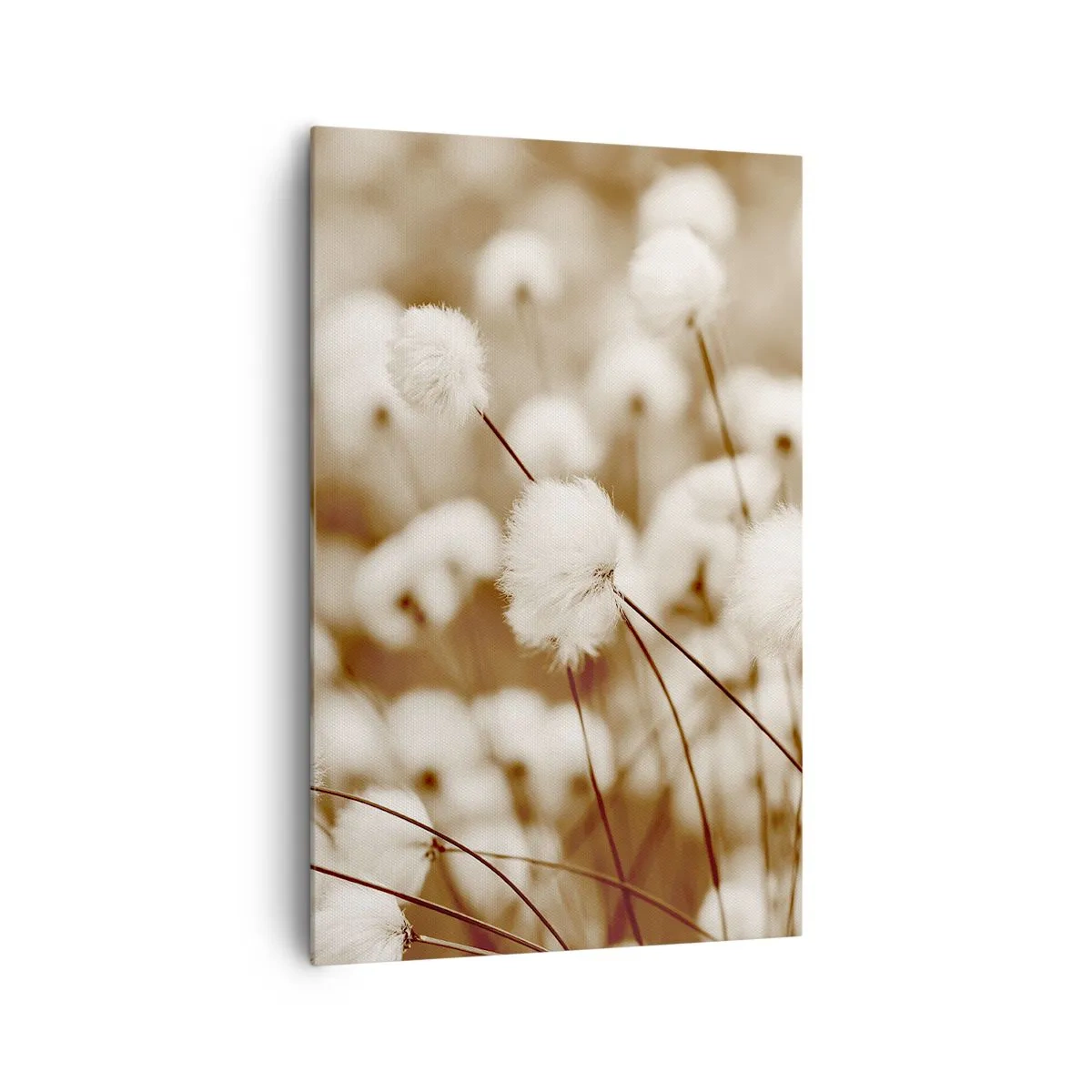 Impression sur toile - Image sur toile - Un champ de plantes délicates aux tons sépia - 80x120cm - Tige moelleuse - Décoration murale moderne pour le salon et la chambre ARTTOR