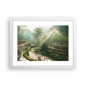 Affiche dans un cadre blanc - Poster - Grandir au soleil - 40x30 cm