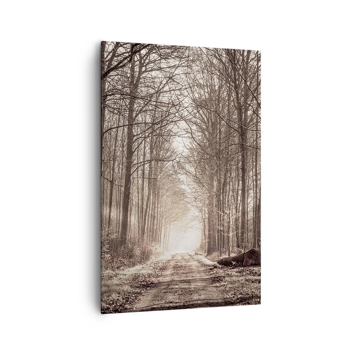 Impression sur toile - Image sur toile - Un chemin forestier parmi des arbres aux tons sépia - 80x120cm - Cathédrale de la forêt - Décoration murale moderne pour le salon et la chambre ARTTOR