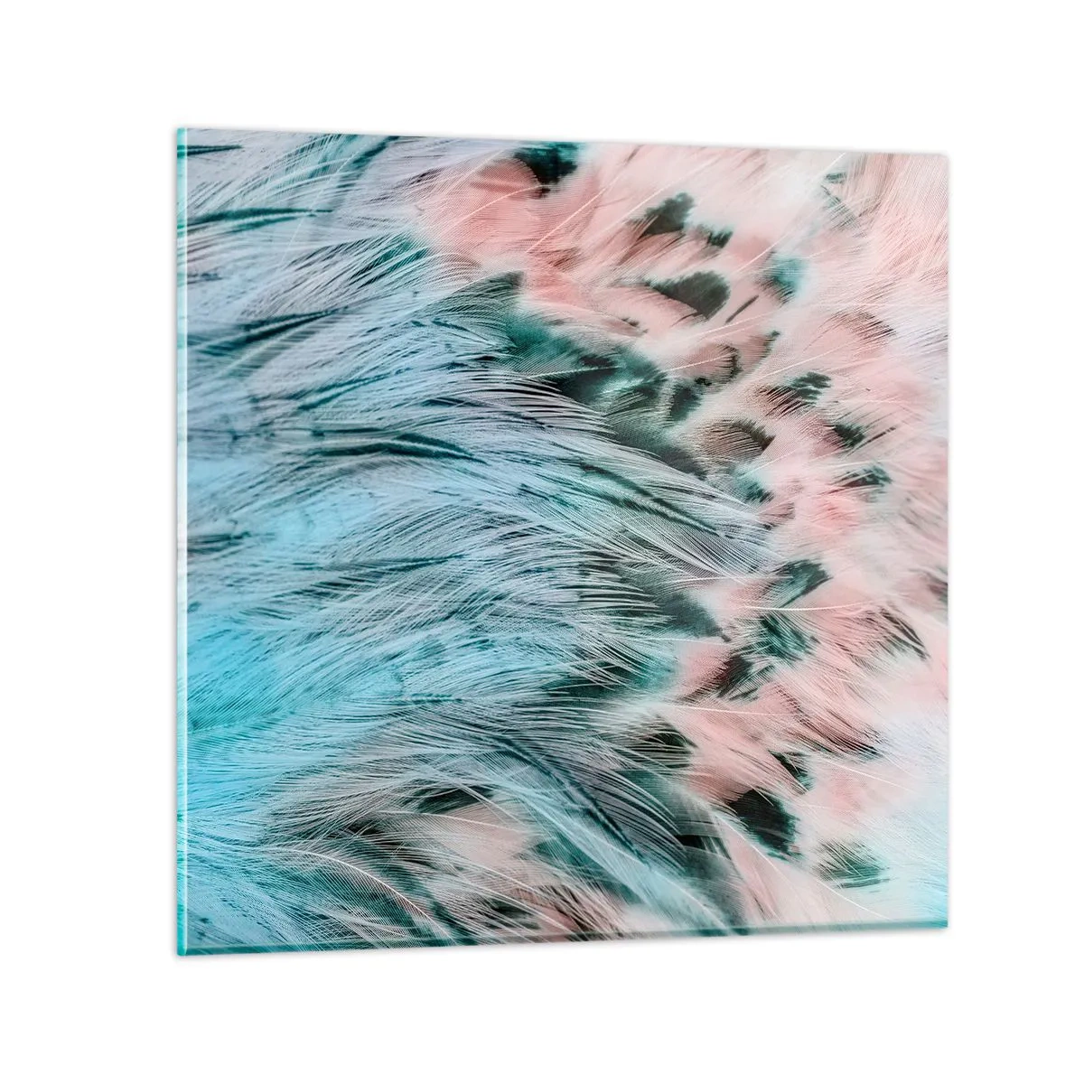 Impression sur verre - Image sur verre - Duvet rose saphir - 40x40 cm