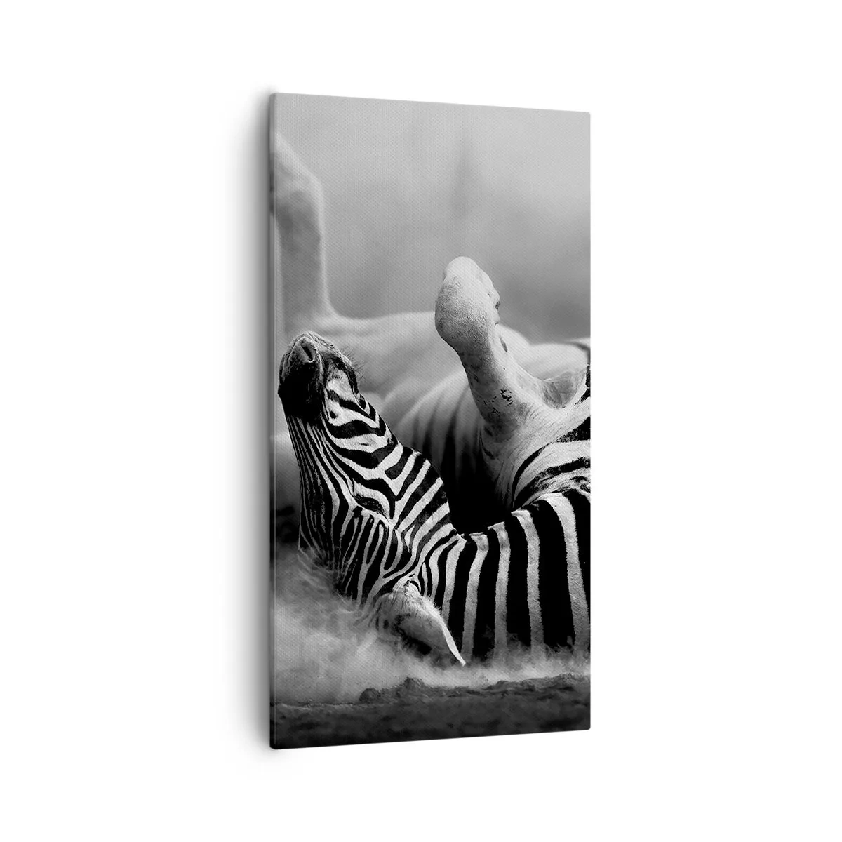 Impression sur toile - Image sur toile - Pas uniquement le cheval en rirait - 55x100 cm