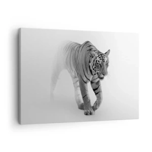Impression sur toile - Image sur toile - Un tigre émergeant du brouillard - 70x50cm - Accroupi dans le brouillard - Décoration murale moderne pour le salon et la chambre ARTTOR