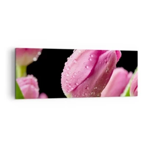 Impression sur toile - Image sur toile - Tulipe rose avec des gouttes d'eau sur fond noir - 140x50cm - Rêve de lilas dans la rosée - Décoration murale moderne pour le salon et la chambre ARTTOR