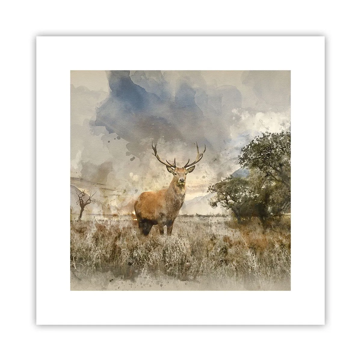 Affiche - Poster - Dignité - force - majesté - 30x30 cm