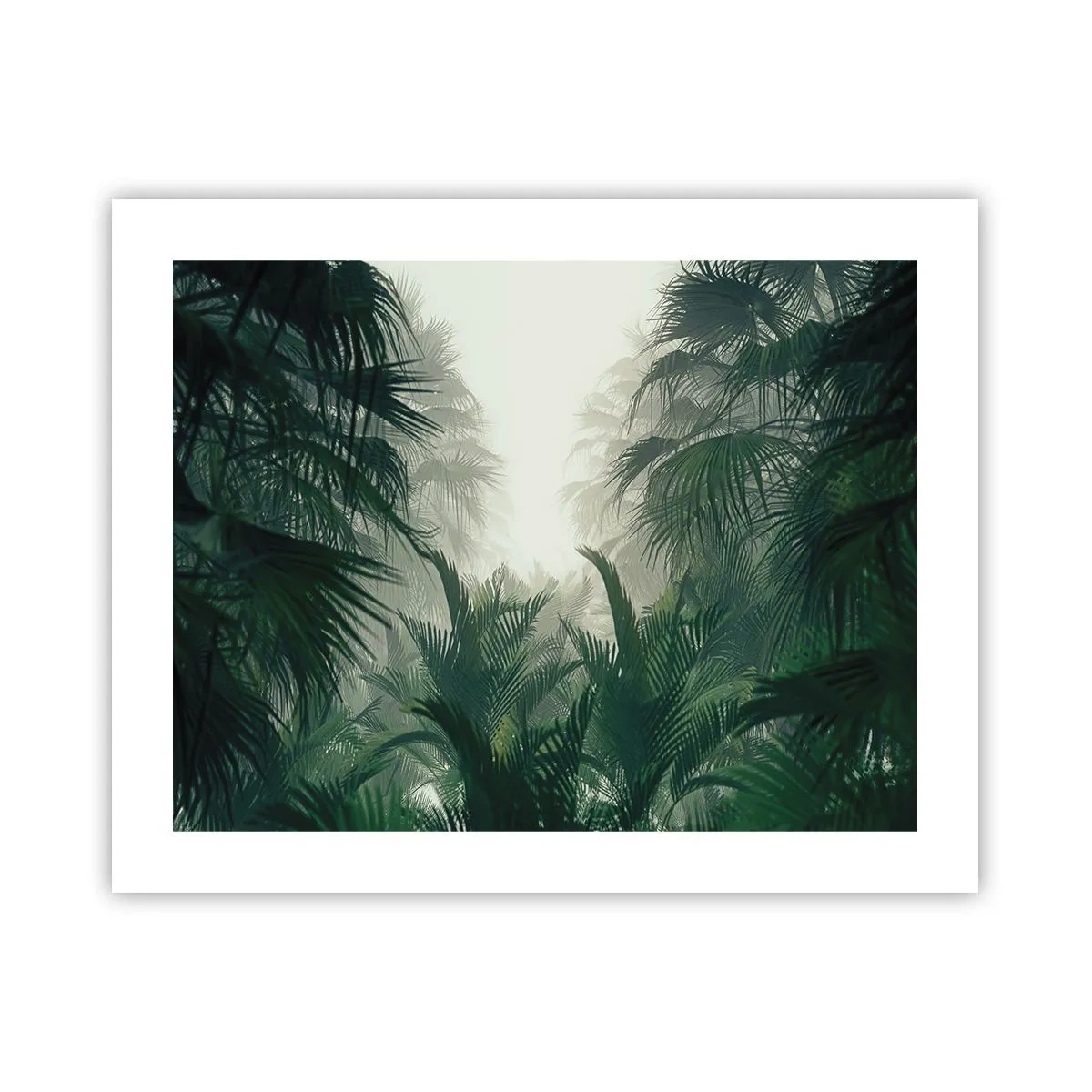 Affiche - Poster - Secret tropical - 50x40 cm