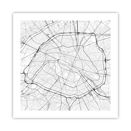 Affiche - Poster - Fleur de Paris - 50x50 cm