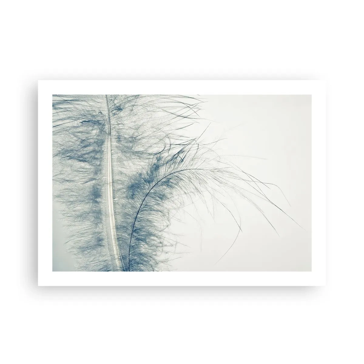 Affiche - Poster - Les sept natures - 70x50 cm